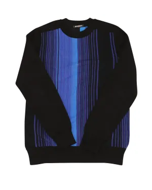 Balmain Tonal Stripe Sweatshirt in Multicolor Cotton