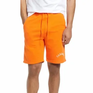 Colegiate Sweat Shorts In Orange