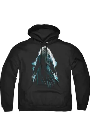 Harry Potter Dumbledore Burst Adult Pull Over Hoodie / Hooded Sweatshirt