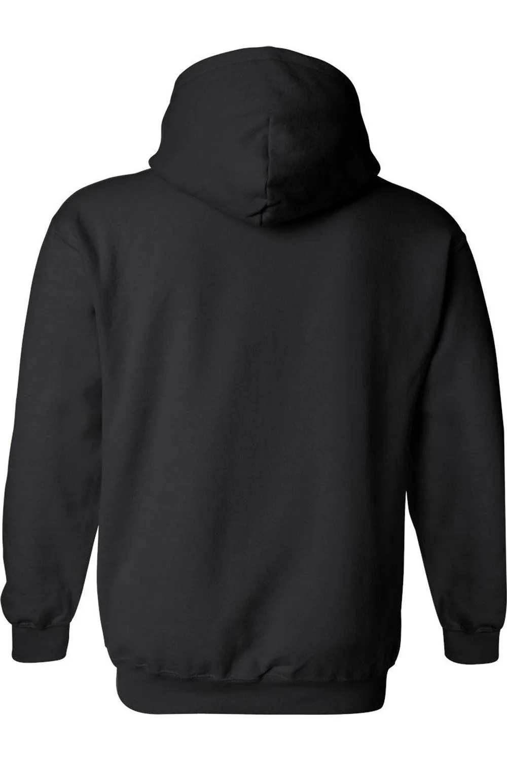 Harry Potter Dumbledore Burst Adult Pull Over Hoodie / Hooded Sweatshirt