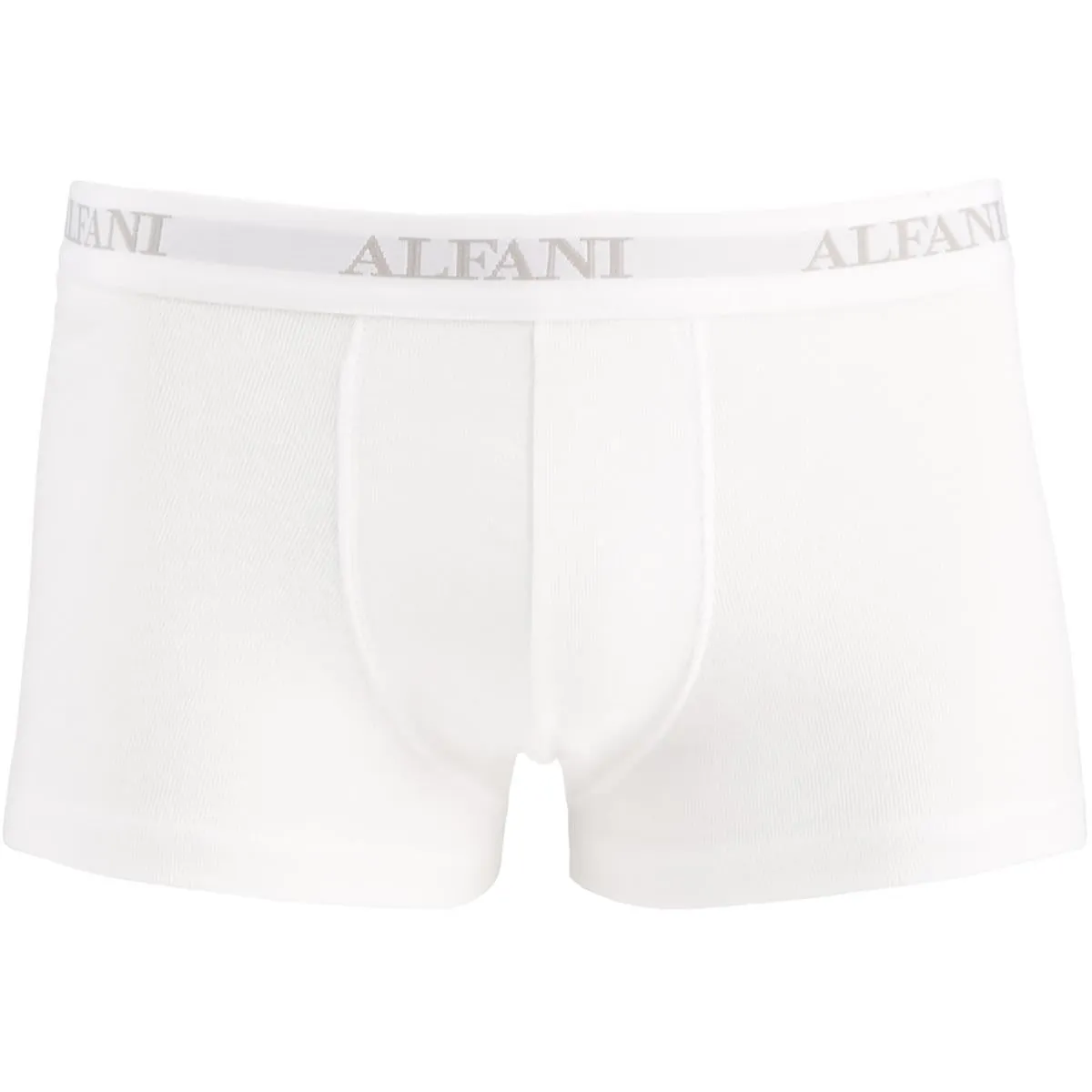 Mens 5 Pack Tagless Trunks