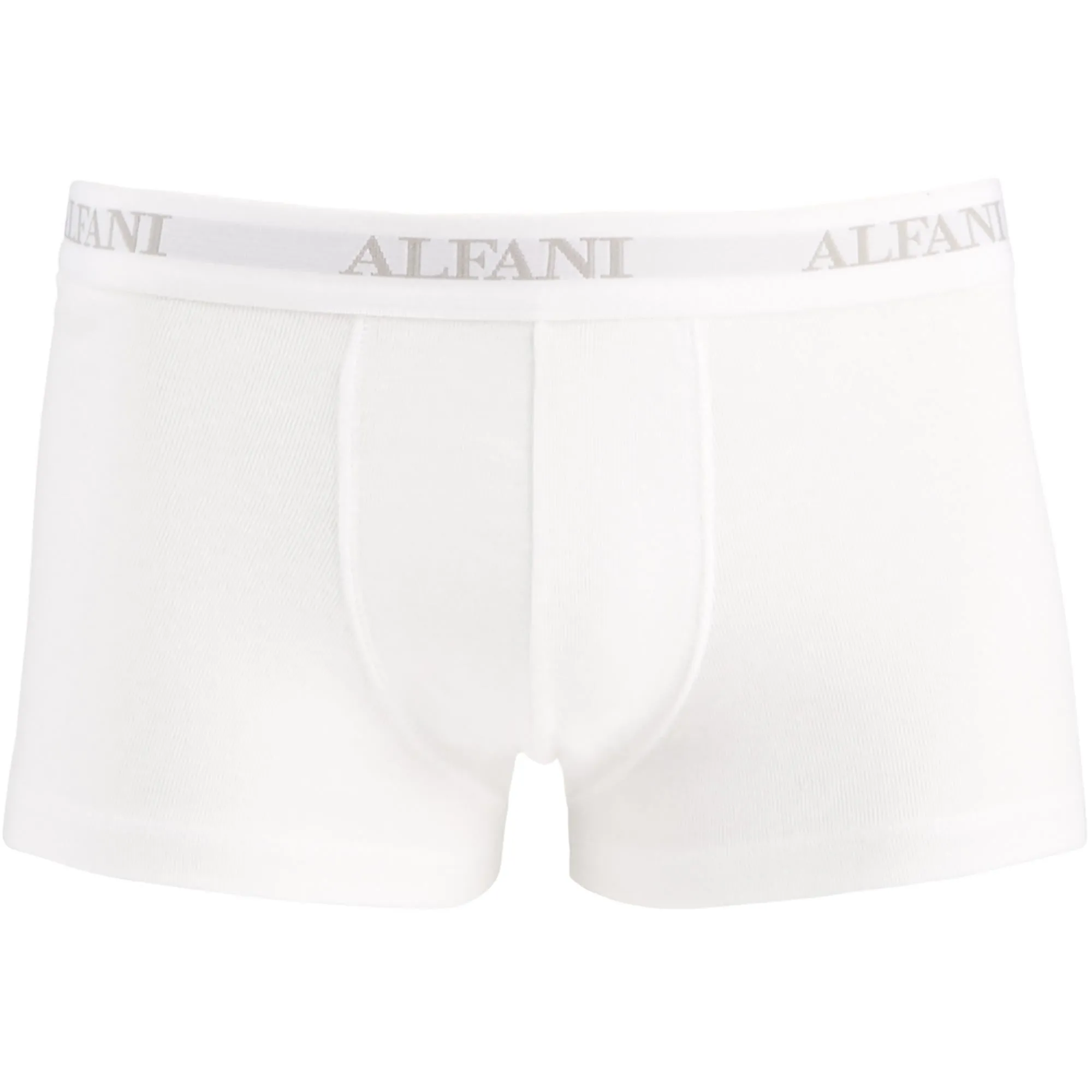 Mens 5 Pack Tagless Trunks