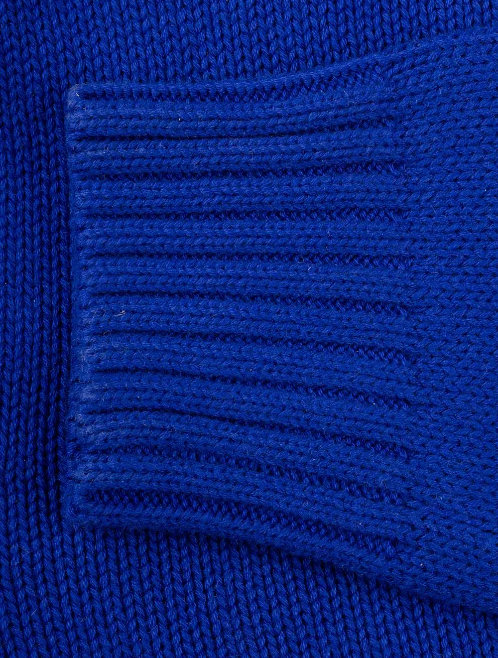 Polo Bear Hooded Jumper Blue