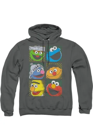 Sesame Street Group Squares Adult Pull Over Hoodie
