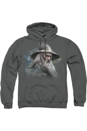 The Hobbit Gandalf The Grey Adult Pull Over Hoodie / Hooded Sweatshirt